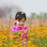 Huongcolor