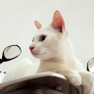 Aka