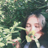 NTHUY155