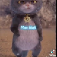 NDDong