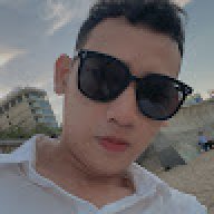 vinhpino1